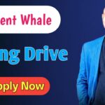Content Whale Hiring Drive
